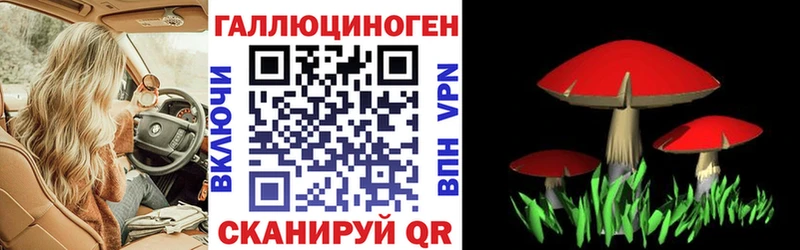 Псилоцибиновые грибы GOLDEN TEACHER Лиски